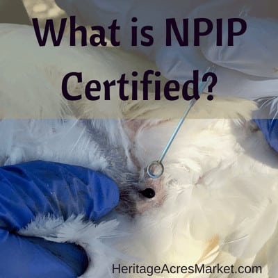 What is NPIP Certified?