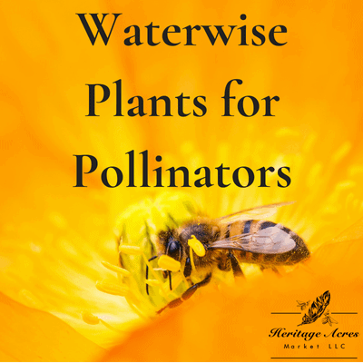 Waterwise Plants for Pollinators