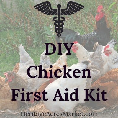 DIY Chicken First Aid Kit