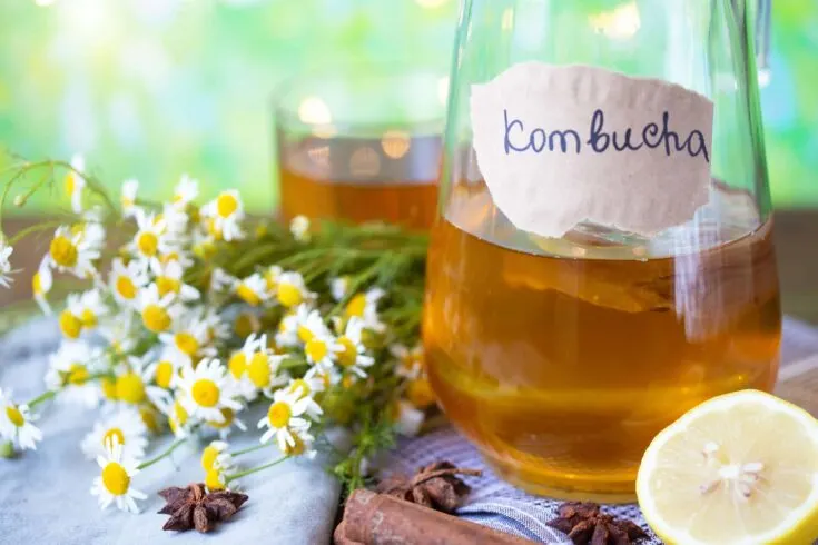 Kombucha in glass jar