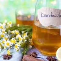 Kombucha in glass jar