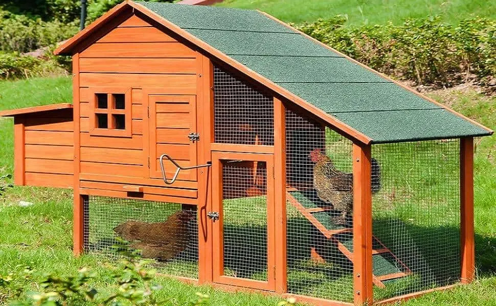 Small brown chicken coop with green roof