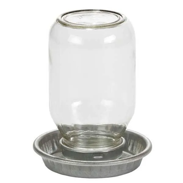 glass jar with metal chicken water base