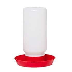 white chicken watering fount with red base