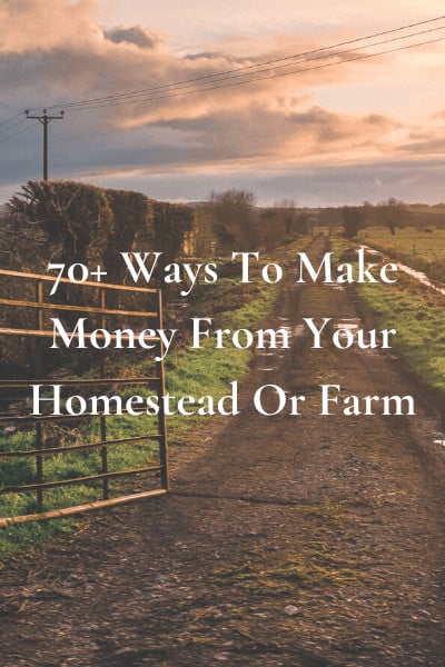 70+ Ways To Make Money From Your Homestead Or Farm