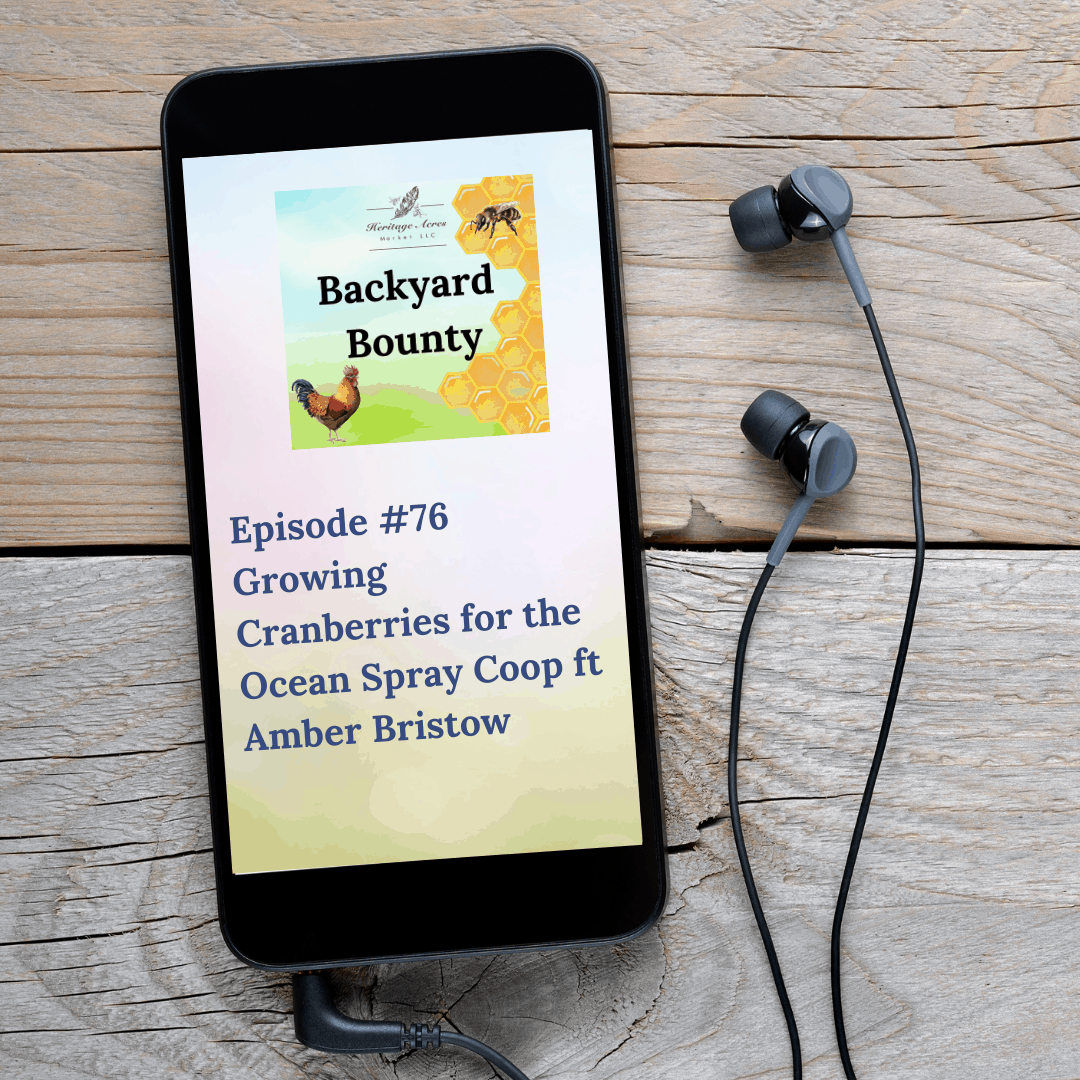 Growing Cranberries for the Ocean Spray Coop ft Amber Bristow