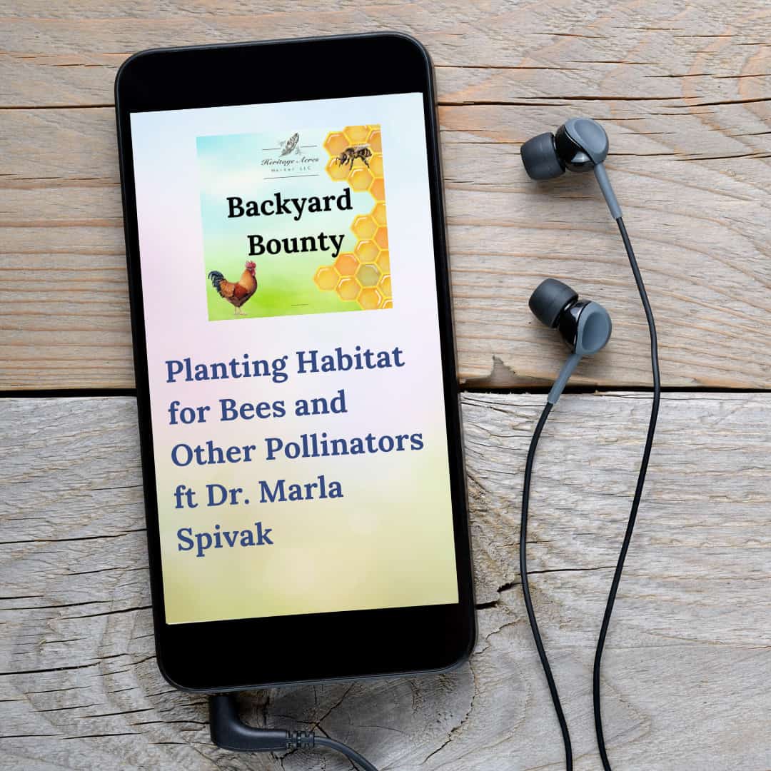 Planting Habitat for Bees and Other Pollinators ft Dr. Marla Spivak