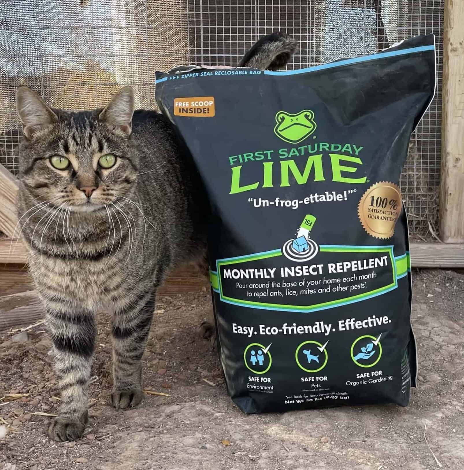 First Saturday Lime: How To Use This Insect Repellant And Deodorizer Around The Farm And Garden