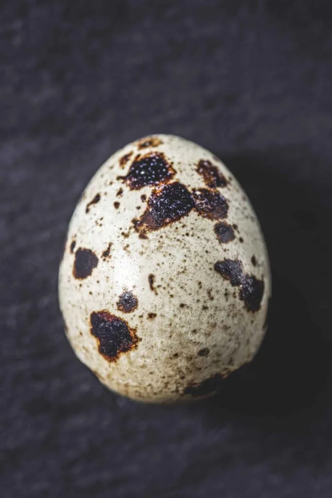 quail egg