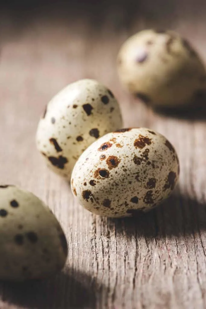 coturnix quail eggs