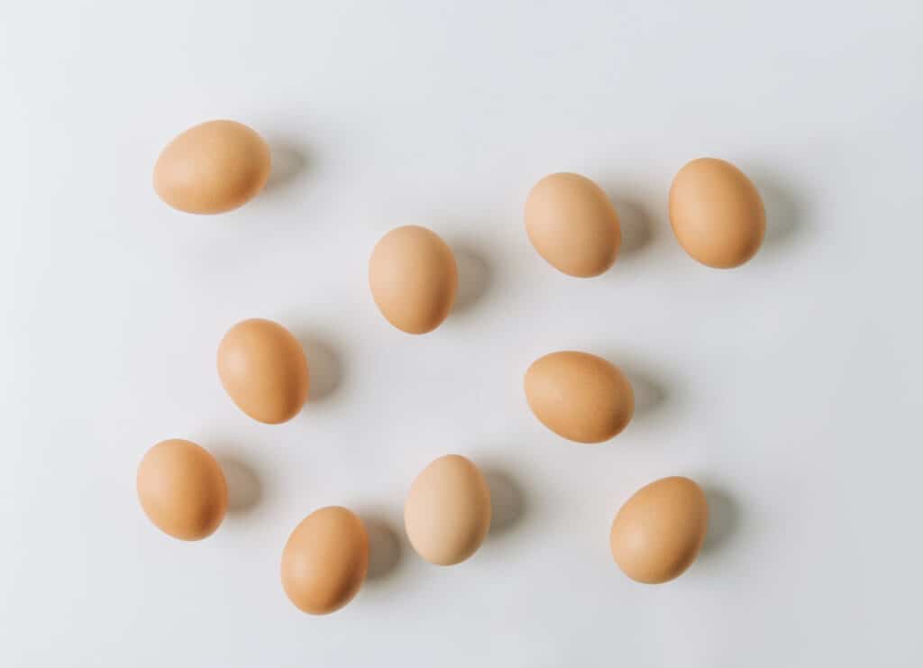 brown chicken eggs