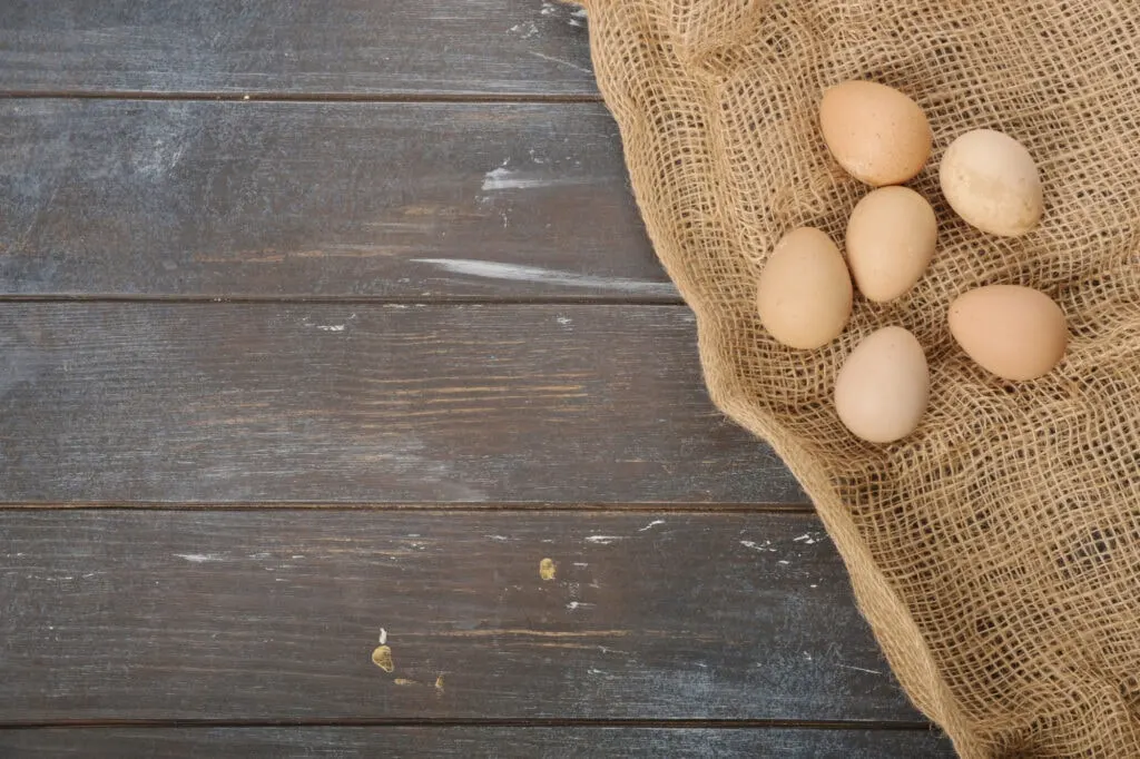 Guinea fowl eggs